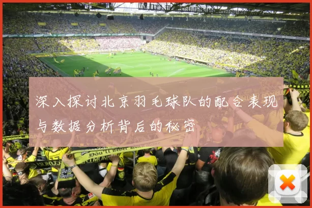 深入探讨北京羽毛球队的配合表现与数据分析背后的秘密