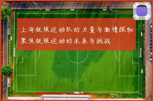 上海极限运动队的力量与激情探秘聚焦极限运动的未来与挑战
