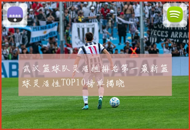 武汉篮球队灵活性排名第一最新篮球灵活性TOP10榜单揭晓