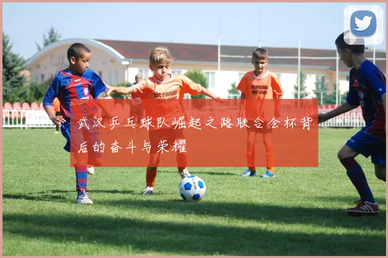 武汉乒乓球队崛起之路联合会杯背后的奋斗与荣耀