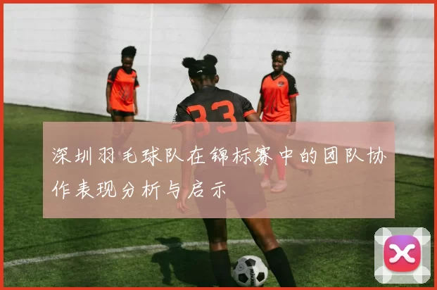 深圳羽毛球队在锦标赛中的团队协作表现分析与启示