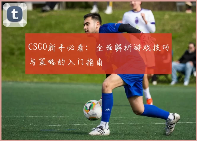 CSGO新手必看：全面解析游戏技巧与策略的入门指南
