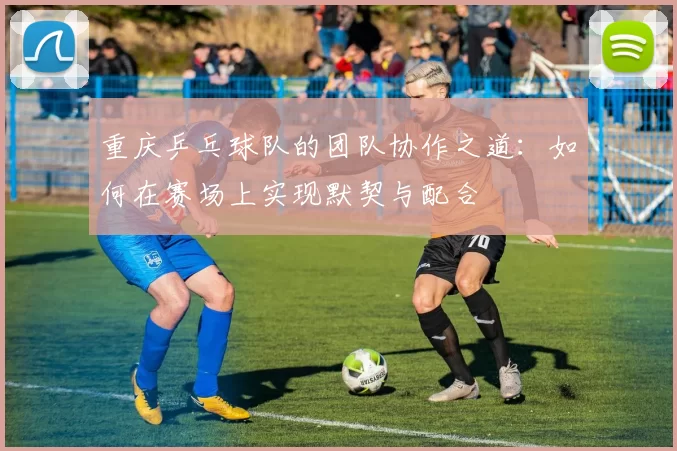 重庆乒乓球队的团队协作之道：如何在赛场上实现默契与配合
