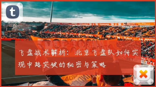 飞盘战术解析：北京飞盘队如何实现中路突破的秘密与策略