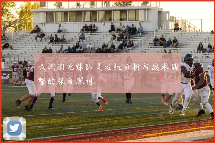 武汉羽毛球队灵活性分析与战术调整的深度探讨