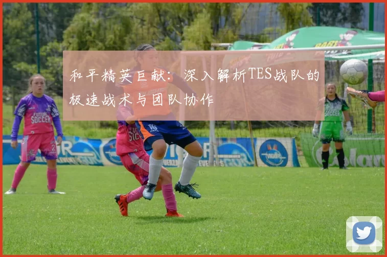 和平精英巨献：深入解析TES战队的极速战术与团队协作