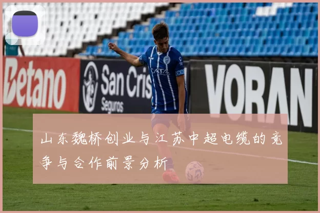 山东魏桥创业与江苏中超电缆的竞争与合作前景分析