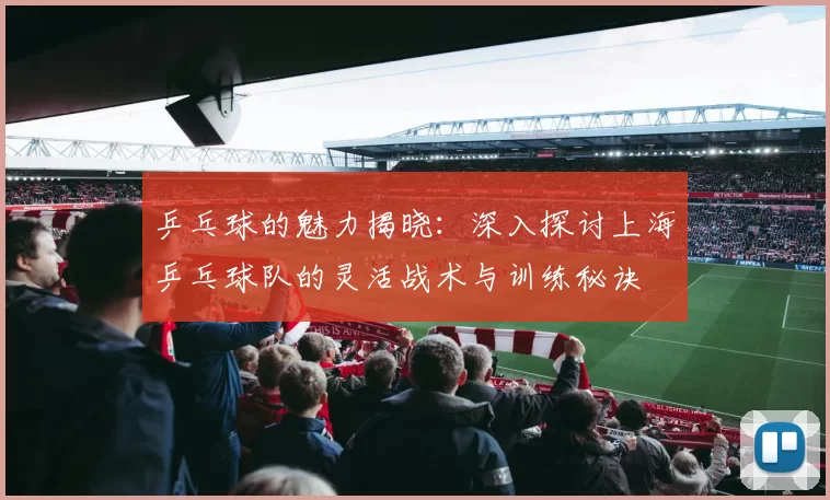 乒乓球的魅力揭晓：深入探讨上海乒乓球队的灵活战术与训练秘诀