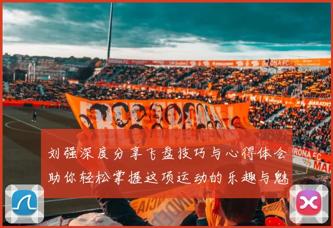 刘强深度分享飞盘技巧与心得体会助你轻松掌握这项运动的乐趣与魅力