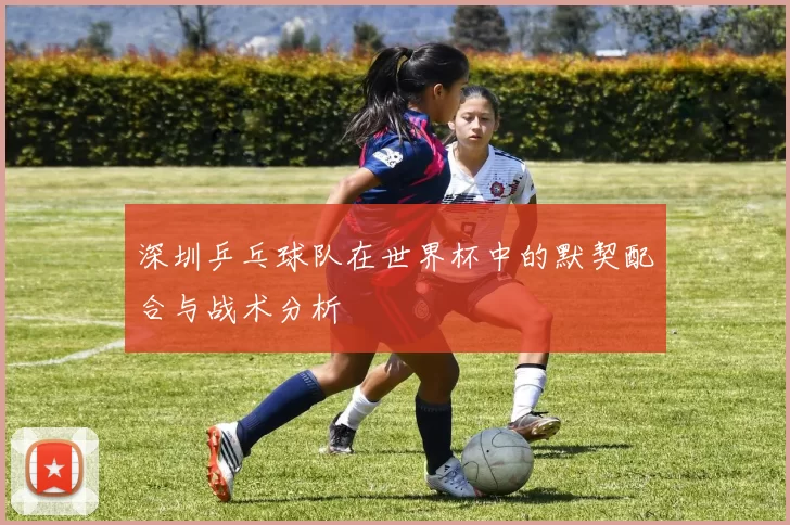 深圳乒乓球队在世界杯中的默契配合与战术分析