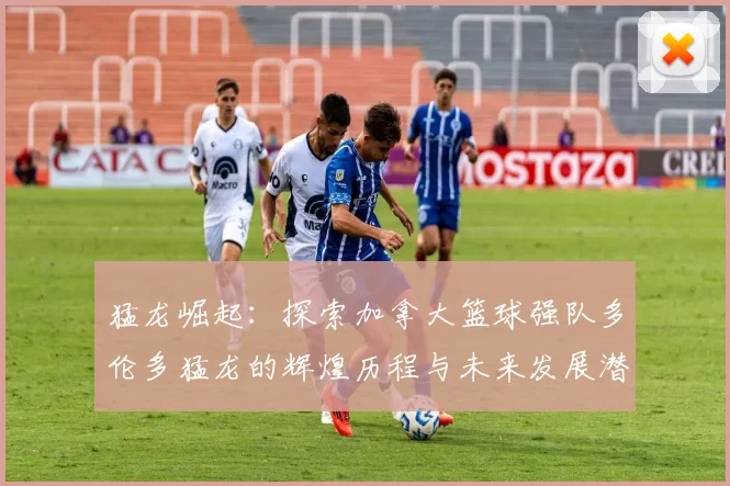 猛龙崛起：探索加拿大篮球强队多伦多猛龙的辉煌历程与未来发展潜力