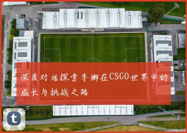 深度对话探索李娜在CSGO世界中的成长与挑战之路