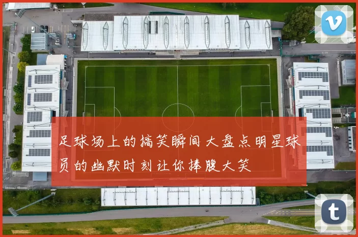 足球场上的搞笑瞬间大盘点明星球员的幽默时刻让你捧腹大笑