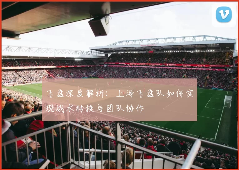 飞盘深度解析：上海飞盘队如何实现战术转换与团队协作
