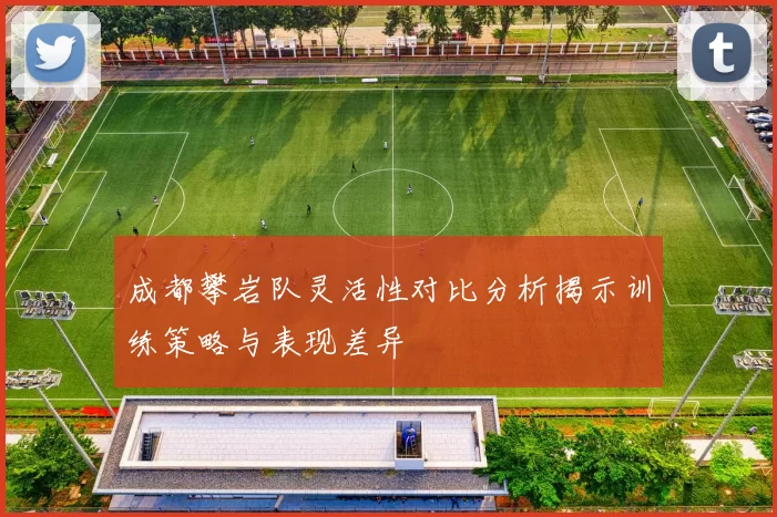 成都攀岩队灵活性对比分析揭示训练策略与表现差异