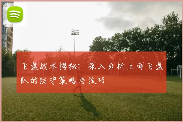 飞盘战术揭秘：深入分析上海飞盘队的防守策略与技巧