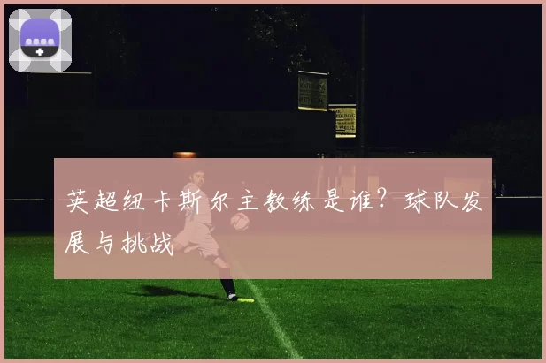 英超纽卡斯尔主教练是谁？球队发展与挑战