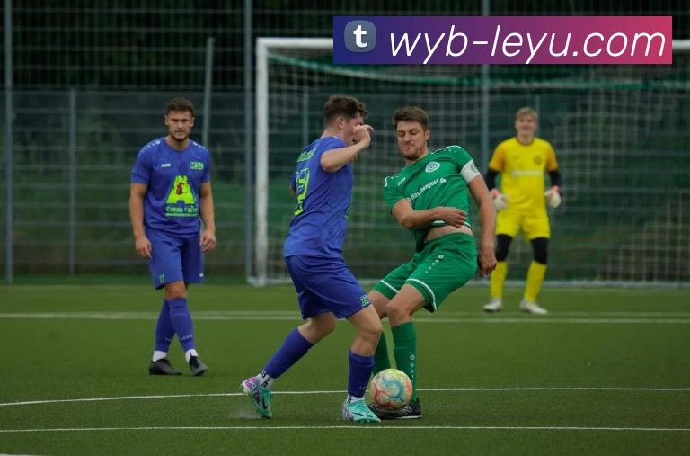 乐鱼体育服务体系